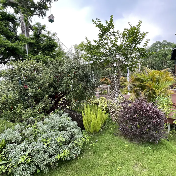 Conas a chruthaíonn Crape Myrtle Tírdhreach Néal agus Cothabháil Íseal?